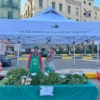 Alessandria d’Egitto Inaugura il Primo Mercato Contadino del Progetto Mami